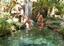 Everglades International Hostel Inc